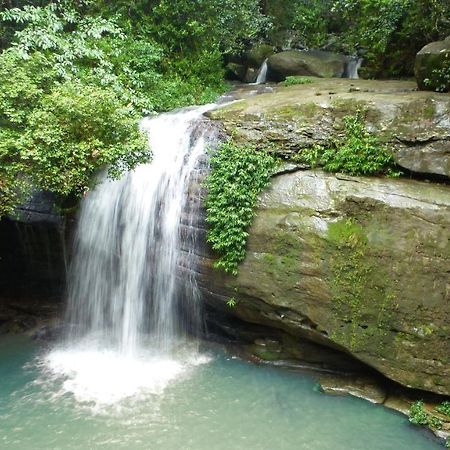 Buderim Forest Hideaway Eksteriør billede